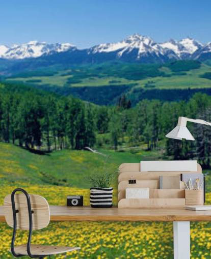 champ de prairie jaune avec des montagnes enneigées à distance fond d'écran