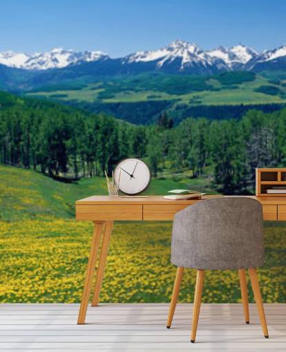 campo de prado amarillo con montañas nevadas en fondo de pantalla de distancia