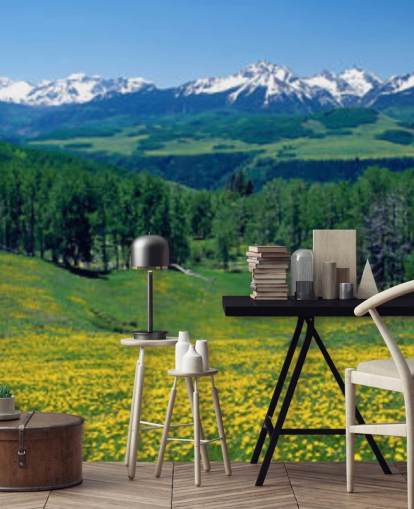 yellow meadow field with snowy mountains in distance wallpaper