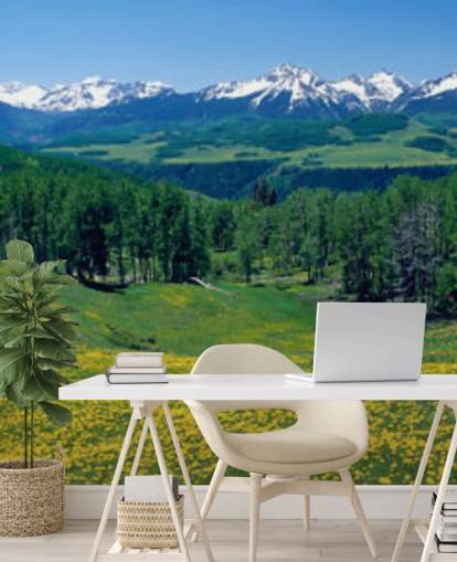 yellow meadow field with snowy mountains in distance wallpaper yellow meadow field with snowy mountains in distance wallpaper