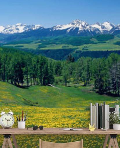 campo de prado amarelo com montanhas nevadas em papel de parede de distância campo de prado amarelo com montanhas nevadas em papel de parede de distância
