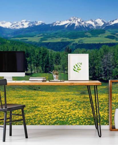 campo de prado amarillo con montañas nevadas en fondo de pantalla de distancia