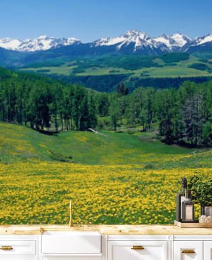 champ de prairie jaune avec des montagnes enneigées à distance fond d'écran