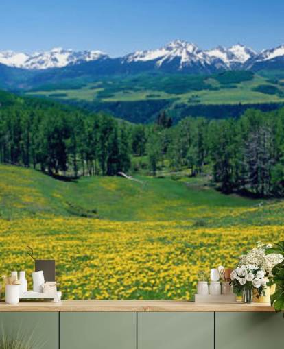 campo de prado amarillo con montañas nevadas en fondo de pantalla de distancia