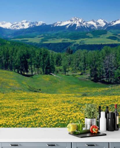 yellow meadow field with snowy mountains in distance wallpaper