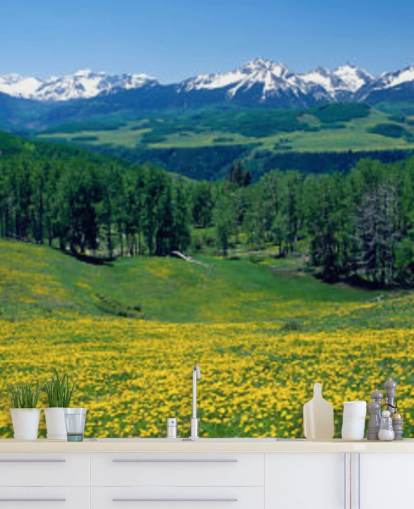campo de prado amarillo con montañas nevadas en fondo de pantalla de distancia