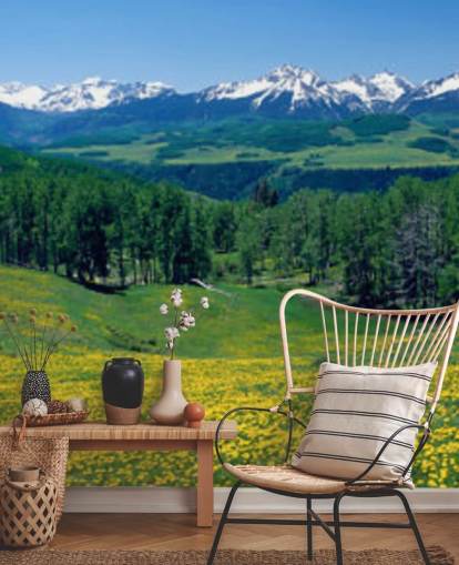 campo de prado amarillo con montañas nevadas en fondo de pantalla de distancia
