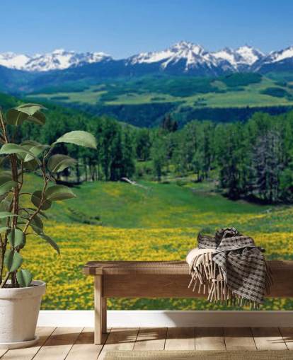 campo de prado amarillo con montañas nevadas en fondo de pantalla de distancia