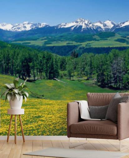 yellow meadow field with snowy mountains in distance wallpaper yellow meadow field with snowy mountains in distance wallpaper