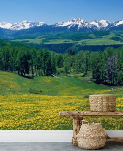 campo de prado amarillo con montañas nevadas en fondo de pantalla de distancia campo de prado amarillo con montañas nevadas en fondo de pantalla de distancia