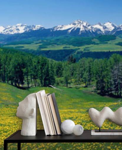 campo di prato giallo con montagne innevate in carta da parati a distanza