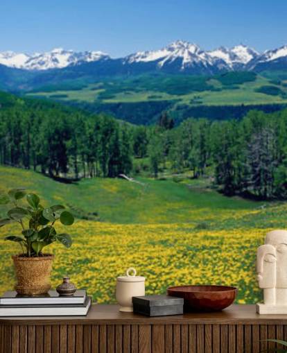 campo di prato giallo con montagne innevate in carta da parati a distanza