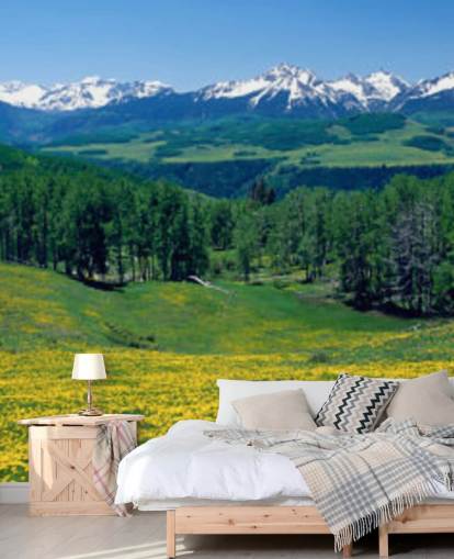 campo de prado amarillo con montañas nevadas en fondo de pantalla de distancia