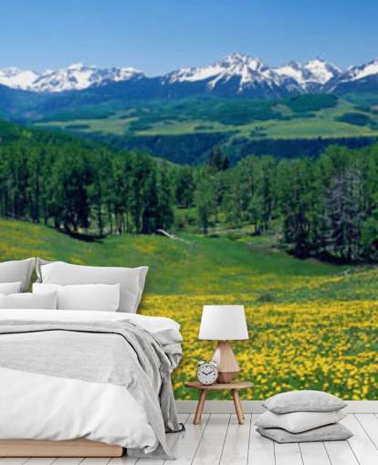 campo de prado amarillo con montañas nevadas en fondo de pantalla de distancia
