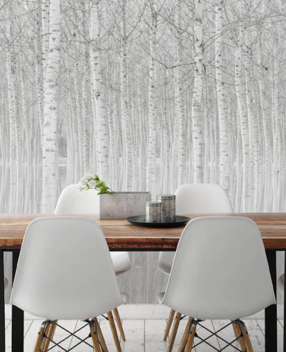 black and white birch trees in water wallpaperf