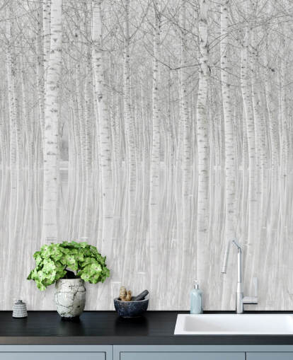 zwart-witte berken bomen in waterbehang zwart-witte berken bomen in waterbehang