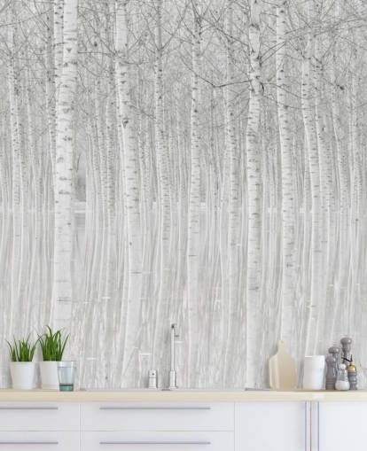 betulle in bianco e nero in carta da parati acquaff betulle in bianco e nero in carta da parati acquaff