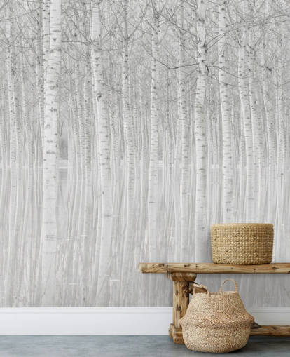 bétulas pretas e brancas em papel de parede de água