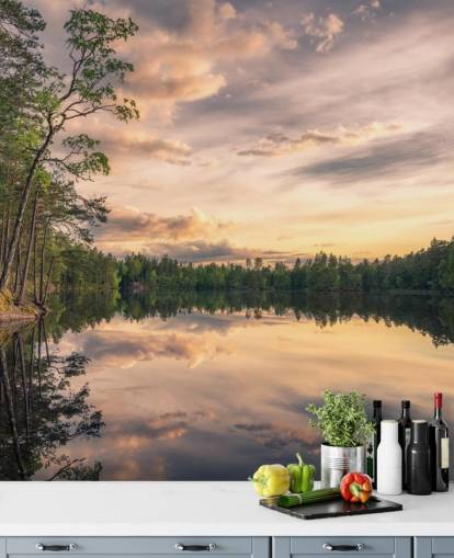 Lake tarmsjön Sweden wall mural with reflections