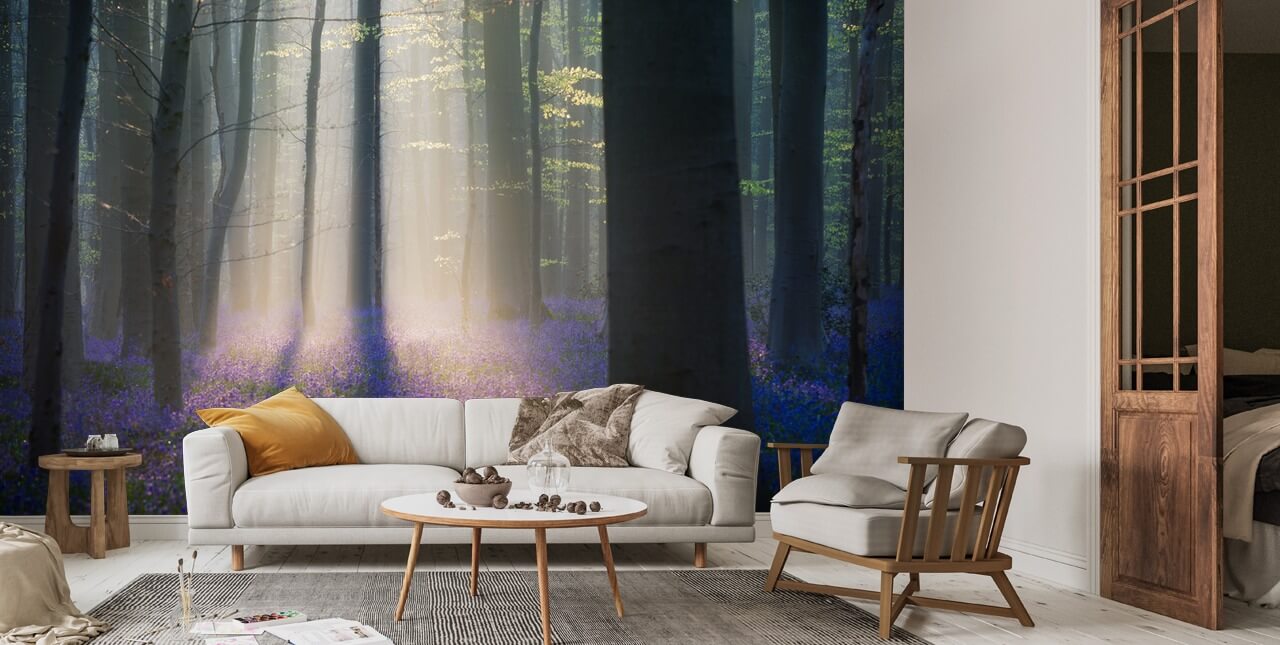Velvet Light Wall Mural Wallsauce US