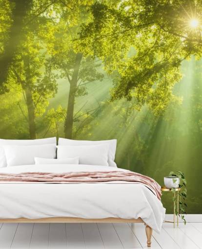 green custom forest wallpaper mural called The Forest of Heaven for living rooms