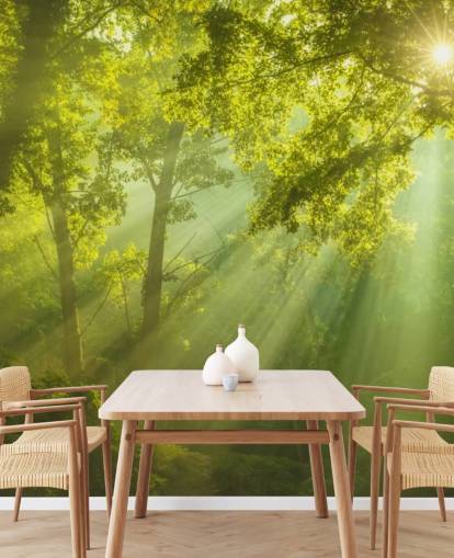 groene op maat gemaakte bosbehangmuurschildering genaamd The Forest of Heaven voor woonkamers