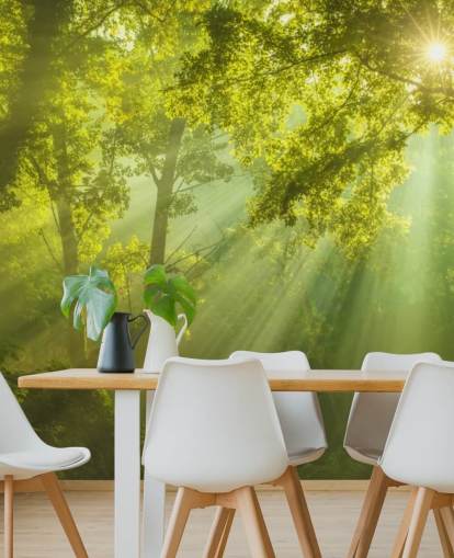 mural verde de papel pintado de bosque personalizado llamado El bosque del cielo para salas de estar mural verde de papel pintado de bosque personalizado llamado El bosque del cielo para salas de estar