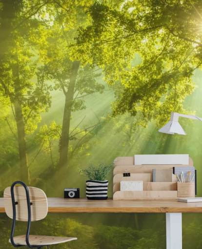 carta da parati murale verde personalizzata con foresta chiamata The Forest of Heaven per salotti