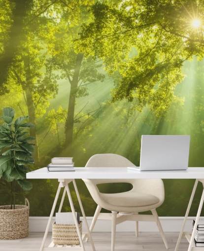 carta da parati murale verde personalizzata con foresta chiamata The Forest of Heaven per salotti carta da parati murale verde personalizzata con foresta chiamata The Forest of Heaven per salotti