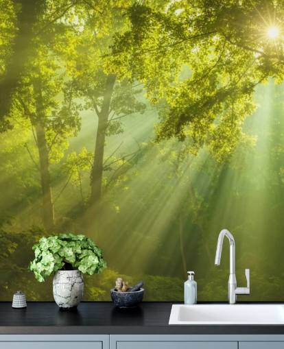 carta da parati murale verde personalizzata con foresta chiamata The Forest of Heaven per salotti carta da parati murale verde personalizzata con foresta chiamata The Forest of Heaven per salotti