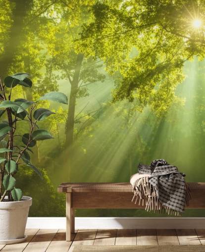 mural verde de papel pintado de bosque personalizado llamado El bosque del cielo para salas de estar