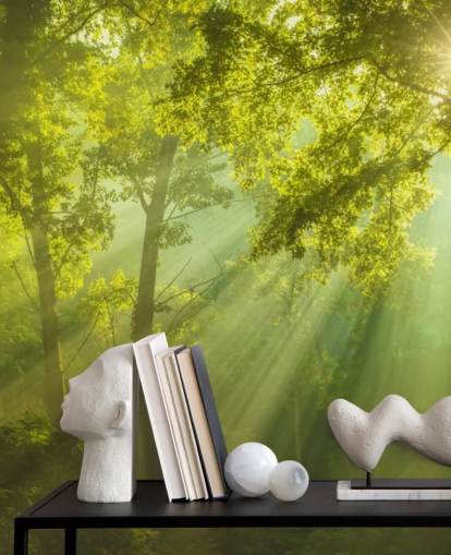 groene op maat gemaakte bosbehangmuurschildering genaamd The Forest of Heaven voor woonkamers