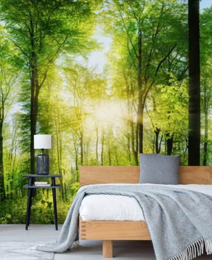 groene aanpasbare bosbehangmuurschildering genaamd Forest Panoramic met zonnestralen voor slaapkamer