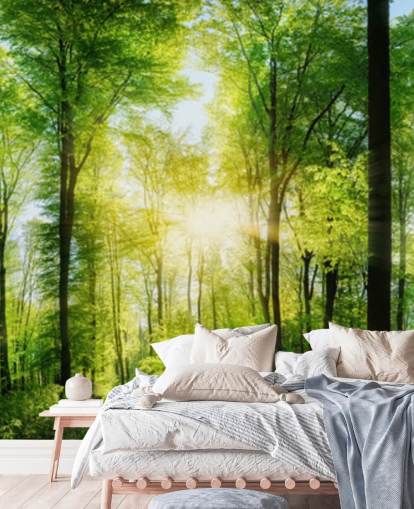 green customisable woodland wallpaper mural called Forest Panoramic with Sunbeams for bedroom