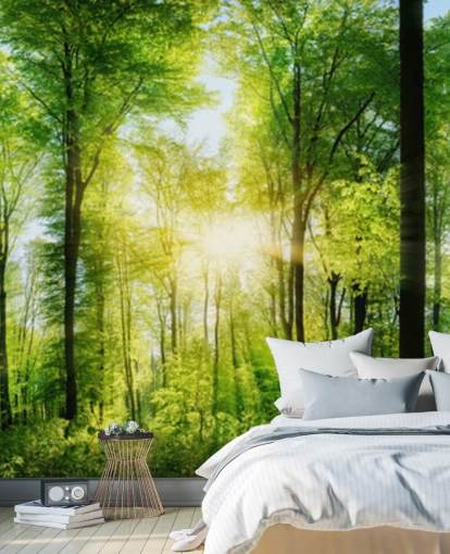 groene aanpasbare bosbehangmuurschildering genaamd Forest Panoramic met zonnestralen voor slaapkamer groene aanpasbare bosbehangmuurschildering genaamd Forest Panoramic met zonnestralen voor slaapkamer