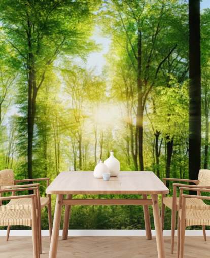 green customizable woodland wallpaper mural called Forest Panoramic with Sunbeams for bedroom