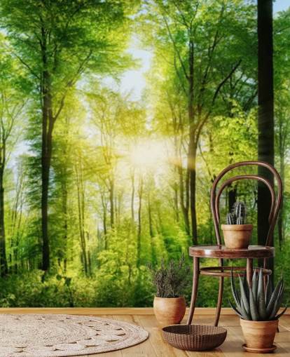 mural verde personalizable de un bosque llamado Forest Panoramic con rayos de sol para dormitorio