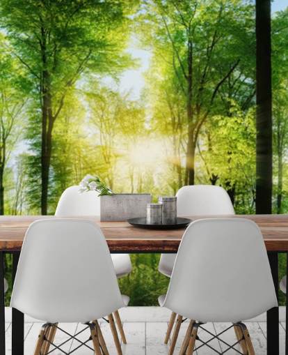 grüne, individuell gestaltbare Waldtapete namens Forest Panoramic mit Sonnenstrahlen für Schlafzimmer