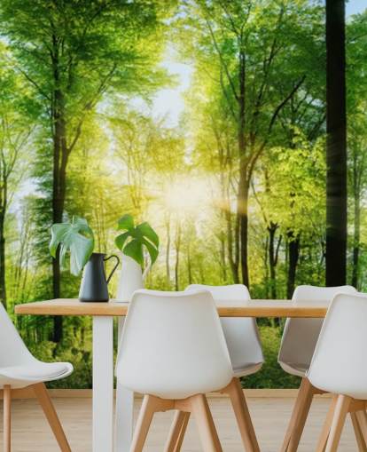 groene aanpasbare bosbehangmuurschildering genaamd Forest Panoramic met zonnestralen voor slaapkamer