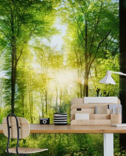 green customizable woodland wallpaper mural called Forest Panoramic with Sunbeams for bedroom