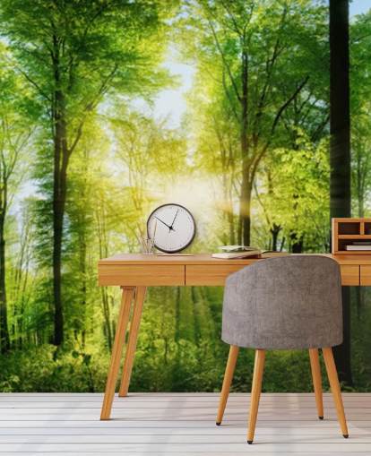 papier peint mural boisé vert personnalisable appelé Forest Panoramic avec rayons de soleil pour chambre