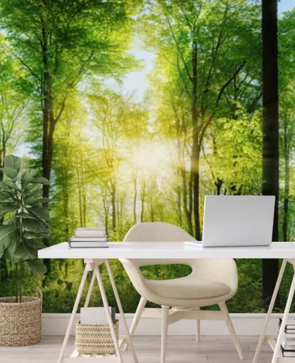 mural verde personalizable de un bosque llamado Forest Panoramic con rayos de sol para dormitorio