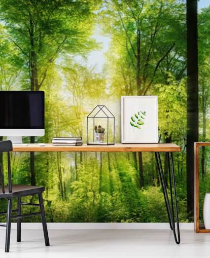 carta da parati murale verde personalizzabile con boschi chiamata Forest Panoramic with Sunbeams per camera da letto