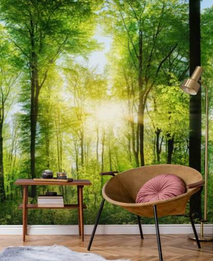 mural verde personalizable de un bosque llamado Forest Panoramic con rayos de sol para dormitorio mural verde personalizable de un bosque llamado Forest Panoramic con rayos de sol para dormitorio