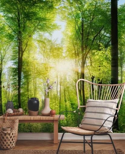 mural verde personalizable de un bosque llamado Forest Panoramic con rayos de sol para dormitorio mural verde personalizable de un bosque llamado Forest Panoramic con rayos de sol para dormitorio