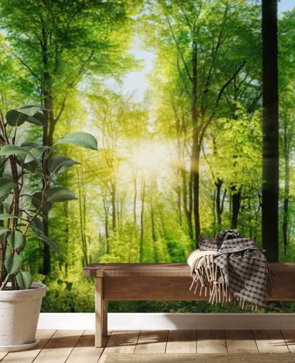grüne, individuell gestaltbare Waldtapete namens Forest Panoramic mit Sonnenstrahlen für Schlafzimmer