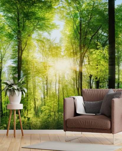 green customisable woodland wallpaper mural called Forest Panoramic with Sunbeams for bedroom