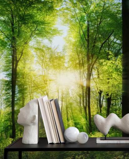 mural de papel de parede verde personalizável chamado Forest Panoramic with Sunbeams para quarto