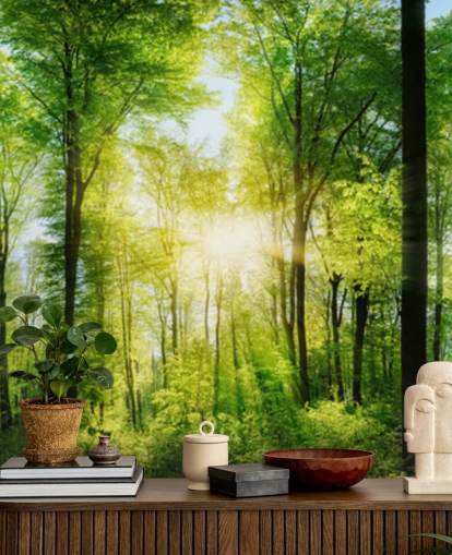 mural verde personalizable de un bosque llamado Forest Panoramic con rayos de sol para dormitorio