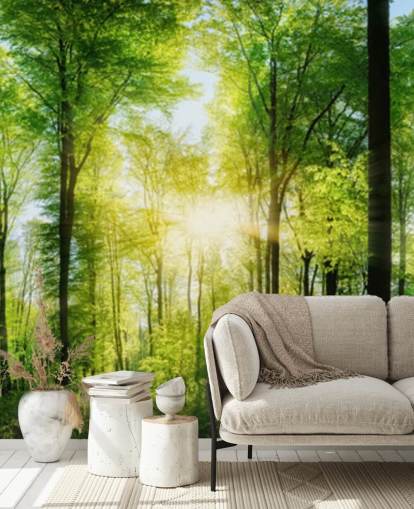green customizable woodland wallpaper mural called Forest Panoramic with Sunbeams for bedroom green customizable woodland wallpaper mural called Forest Panoramic with Sunbeams for bedroom